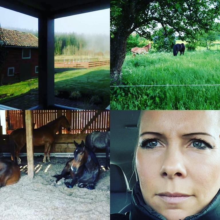 فيلا Bjaerkeryd Soedergard Bed & Stable Kisa المظهر الخارجي الصورة